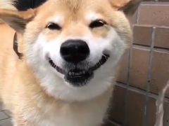 -牛男手造(地铁天虹店)