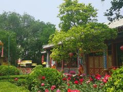 -白家大院·王府宫廷菜(苏州街店)