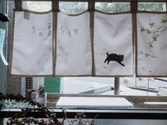 -猫里有甜