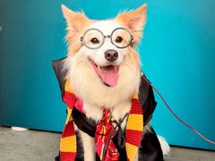 -华谊兄弟（长沙）电影小镇