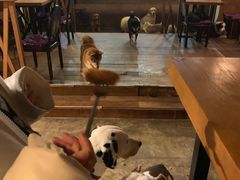 -萌喵咖啡屋(人民东路4号口M16商铺店)