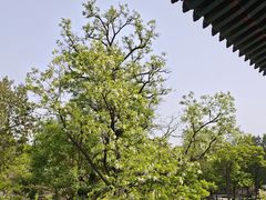 -莲池书院博物馆