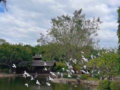 -厦门园林博览苑