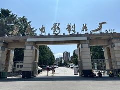 -枫林饺子