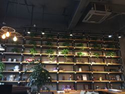 点击看大图 -iplus爱家高端孕妇摄影