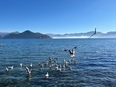 -丽江泸沽湖景区