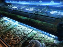 -桃源咖啡厅(武夷山大红袍山庄店)