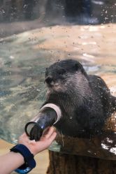 -Zoolung Zoolung动物主题公园(海信广场店)