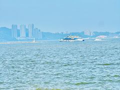 -野狸岛