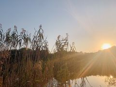 -西湖风景区-江洋畈生态公园