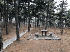 -北京西山国家森林公园