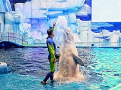 -福州罗源湾海洋世界旅游区