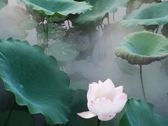 -龙环葡韵住宅式博物馆