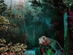 -武汉园博园(武汉自然博物馆)