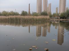 -前关湿地公园