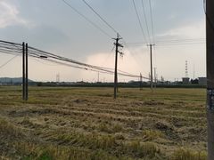 -上海佘山国家森林公园天马山园