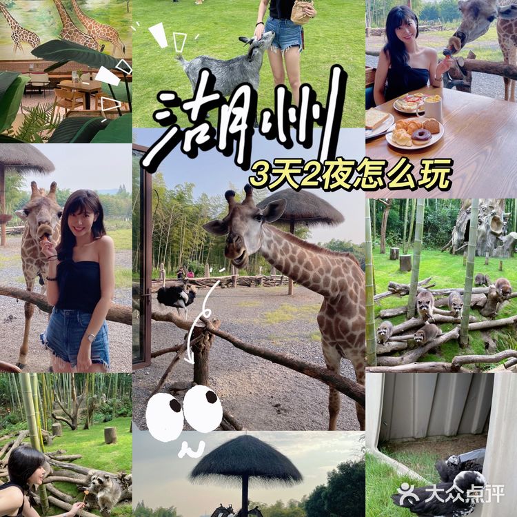 不用去肯尼亚🇰🇪也能和长颈鹿🦒共进早餐呀