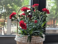 -吕氏焗小鲜•海鲜青岛菜(八大关店)
