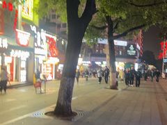 -黑色经典臭豆腐·湖南特产(太平街口店)