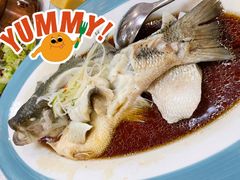 鲜花椒炝鲈鱼-天和晟烤鸭店(玉泉西街店)