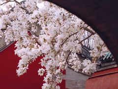 -天坛公园