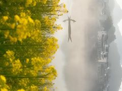 -新安江山水画廊风景区
