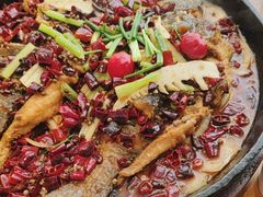 -老板恋上鱼(恒隆广场店)