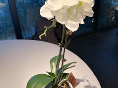 -蘇锦宴·淮扬菜烤鸭·小院(三元桥霄云路店)