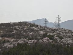 -白水寺森林公园