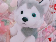 -沃尔玛超市(武侯店)