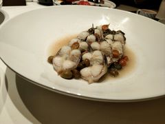 云南老树野桔子蒸江鳗-炳胜私厨(万象前海店)