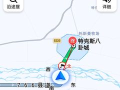 -特克斯八卦城
