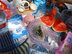 -长春市南湖公园