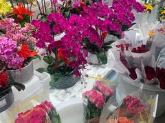 -盒马X会员店(王府井奥莱UP TOWN店)
