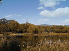 -北坞公园