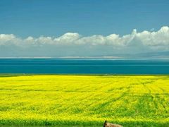 -青海湖国家重点风景名胜区售票处