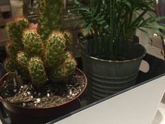 -（宝安壹方城店）