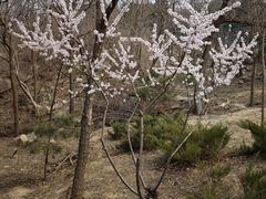-白水寺森林公园