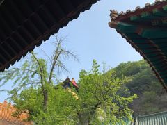 -千佛山风景名胜区