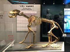 -北京周口店北京人遗址博物馆