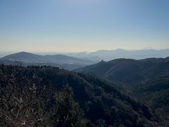 -北京西山国家森林公园