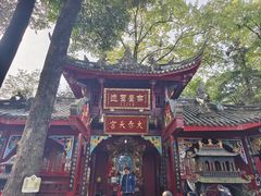 -青城山