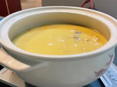 鲍鱼花胶鸡-金龙·打边炉(南京西路店)