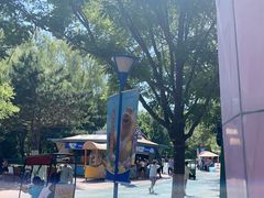 -沈阳方特欢乐世界