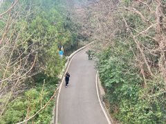 -云龙湖旅游景区