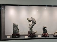 -苏州艺都古玩花鸟市场