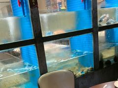 -码头鲜精致威海菜(欧乐坊店)