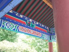 -莲花池公园