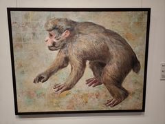 -金泽21世纪美术馆