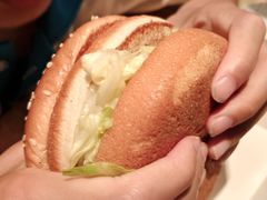 -麦当劳(燕顺路店)